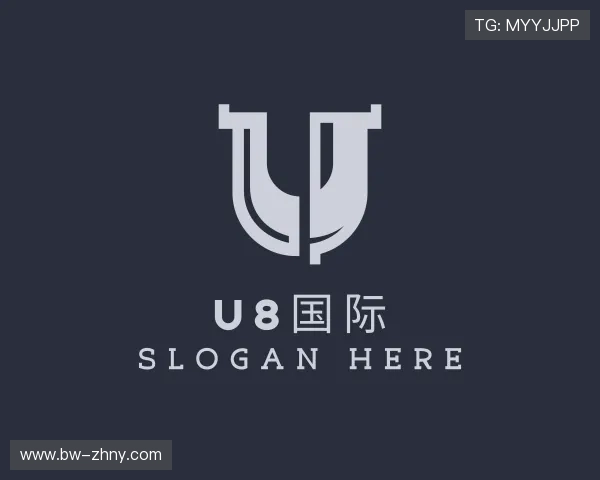 解读u8国际